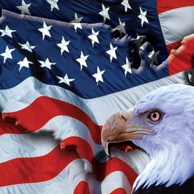 Find out the Naked Truth behind the American government and the reality of Political Correctness. Insure YOUR Freedoms are secure 🇺🇸