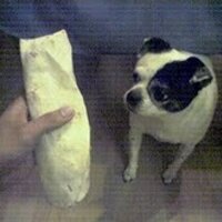 Burrito(@Burritofutbol) 's Twitter Profile Photo