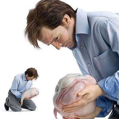 level70elite's profile picture. 