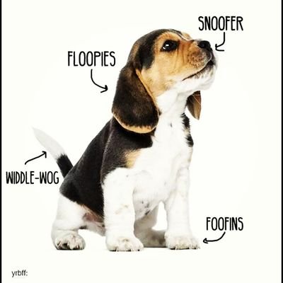 Quinten Webster Profile