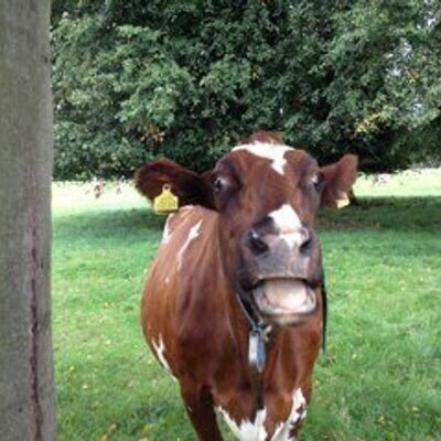 NachoPerez_UK's profile picture. Food & Wine