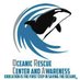 ORCA (@oceanicrescue) Twitter profile photo ORCA (@oceanicrescue) Twitter profile photo