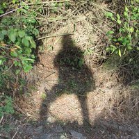 Českem bez auta (@astronomiconeu) 's Twitter Profile