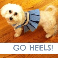 Jenna Sauls Hairr (@hairrjenna) 's Twitter Profile Photo Jenna Sauls Hairr (@hairrjenna) 's Twitter Profile Photo