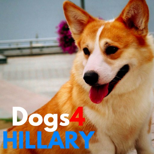 We support @HillaryClinton, because we are paws-itive she is qualified and ready to lead our country forward, not backwards. #ShesWithUs 🐶🐶🇺🇸#Dogs4Hillary!