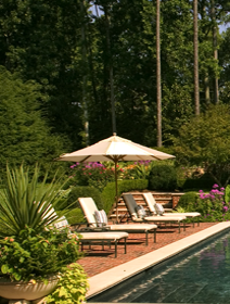 LandPlus's profile picture. 