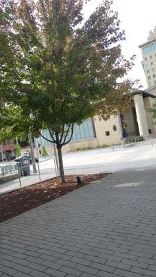 rebeccalee0429's profile picture. Movies , Tv shows 팬 etc.