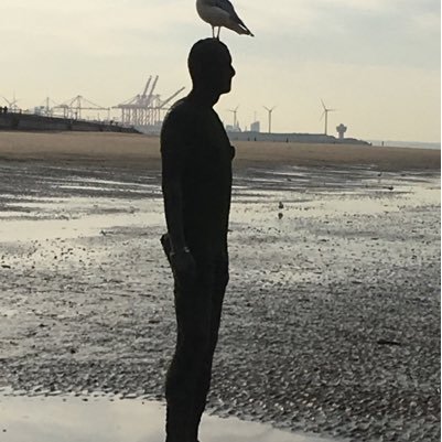 Carey_C2's profile picture. personal twitter account | she/her