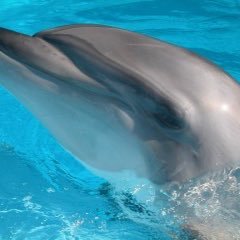 HKyYY0piRACKJII's profile picture. 🍀フォロー大歓迎🍀