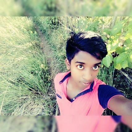 SmartlessObro's profile picture. 