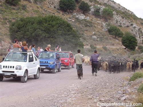 Jeepsafari in Chersonissos op Kreta, Griekenland, sinds 1997.
Incentive, Single vakanties, Kloofwandelingen, Autoverhuur, Quad safaris, Wandelingen op Kreta.