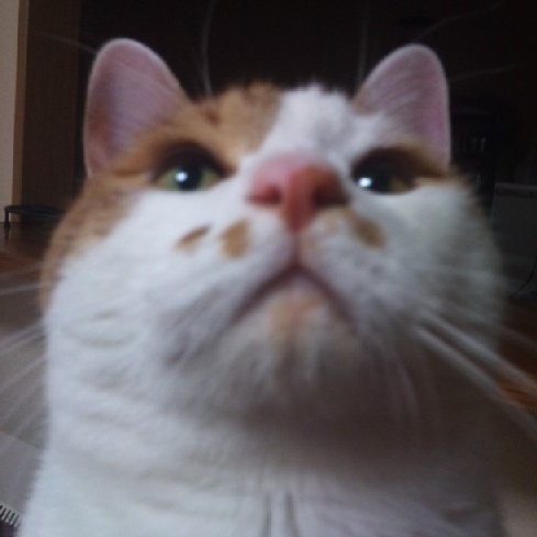 abehiroki1206's profile picture. I love music. I love guitars.