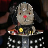 Dawn B (@dawnmb2010) 's Twitter Profile