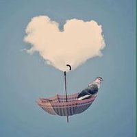 نادية السالمي (@n_alsalmi) 's Twitter Profile Photo نادية السالمي (@n_alsalmi) 's Twitter Profile Photo