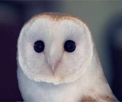 BeHnqRxGwdGYfU9's profile picture. サブ垢です。