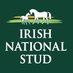 Irish National Stud (@IrishNatStud) Twitter profile photo