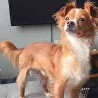 Jeff Farrell (@jefffarrellsasm) 's Twitter Profile