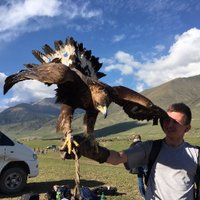 Ruslan Leviev (@ruslanleviev) 's Twitter Profile Photo Ruslan Leviev (@ruslanleviev) 's Twitter Profile Photo