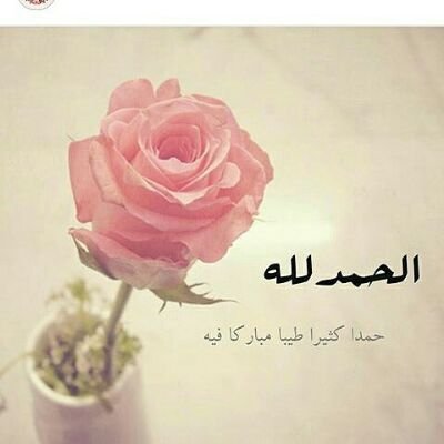 soodaev's profile picture. اليس بذكر الله تطمئن القلوب