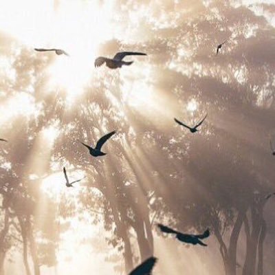 0801029KW's profile picture. 