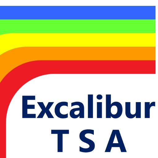 Excalibur TSA