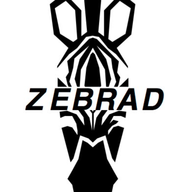 ZEBRAD AGENCY, l'agence qui vous accompagne au mieux sur le digital dans votre communication RH et corporate