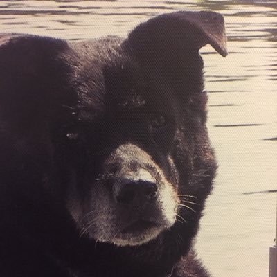 bugsyc's profile picture. 