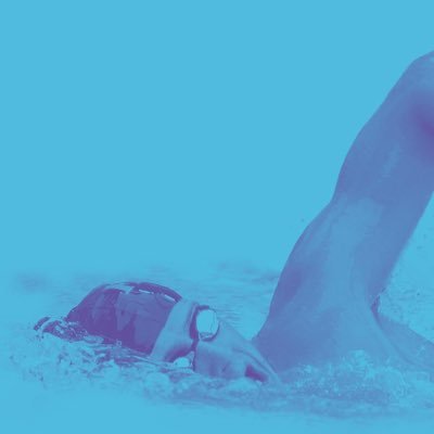 swimmer_polls's profile picture. just another swimmer trying to survive