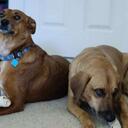 Bill Dietz - @wfdietz - Twitter