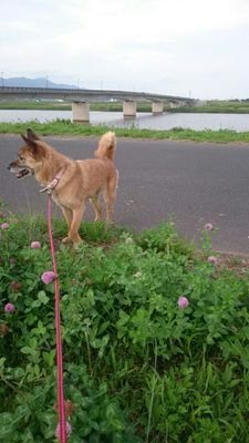 lucky_to_sanpo's profile picture. 