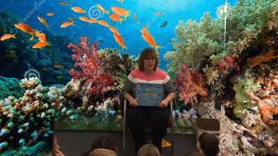 EELittleReads's profile picture. 