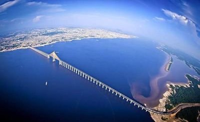 xistojunio's profile picture. 