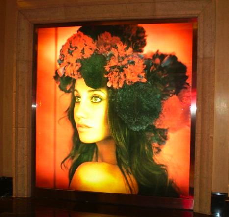 aliparkerkay's profile picture. Hakuna Matata