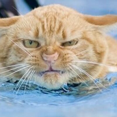 TexasNan1048's profile image