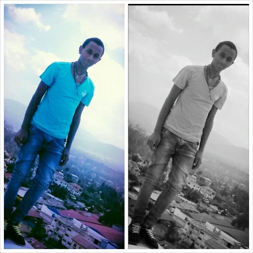abush785's profile picture. 