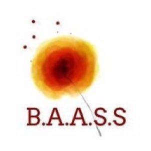 Bendigo Autistic Advocacy and Support Service (BAASS) is an Autistic founded, led and driven not-for-profit organisation; the first of its kind in Australia.