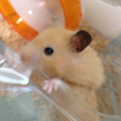 atsuhiro1130's profile picture. のんびり過ごす