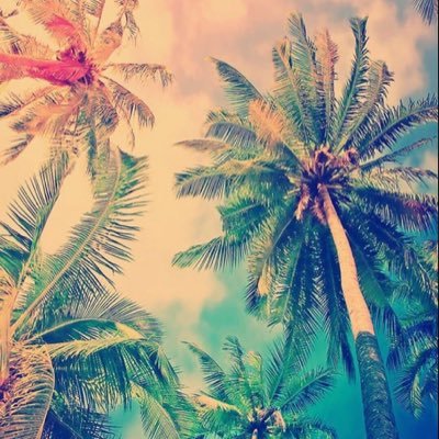 goaltransfers's profile picture. We bring you all the lastet transfer news and deadline day live transfers from all around the world....stay tuned and follow