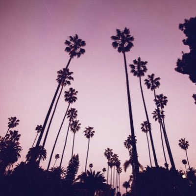 malinjohannax's profile picture. 