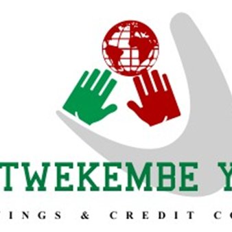 Twekembeorg's profile picture. Twekembe Development Organization is a non government Organization that supports rural communities through agricultural value addition and education.
