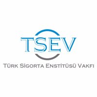 TSEV (@_tsev_) 's Twitter Profile