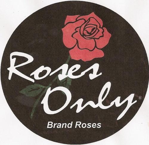 Elliott from Roses Only 20 years and counting. Let us do your weddings and special events. Dependable, affordable, professional. Let us make you look good.