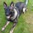 gsd_bailey's profile image
