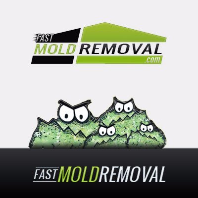 MMR mold stain remover is an effective way to remove mold stains. Call us at 708-441-7982 for more information.