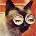 Nuria Stormbort (@mynameisnuuu) Twitter profile photo Nuria Stormbort (@mynameisnuuu) Twitter profile photo
