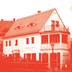 Gitta Gschwendtner Profile