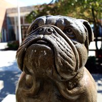 The Bark & BBN (@beardenhsnow) 's Twitter Profile Photo The Bark & BBN (@beardenhsnow) 's Twitter Profile Photo