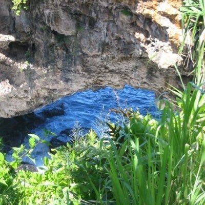 NottmKiwiRose's profile picture. 