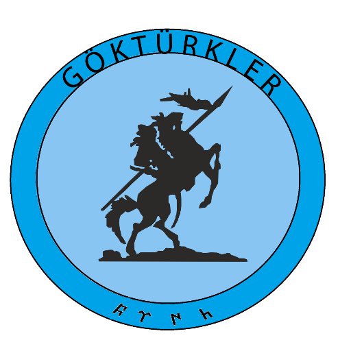 GÖKTÜRKLER Team#6402