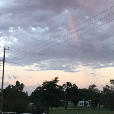 losolas23's profile picture. 